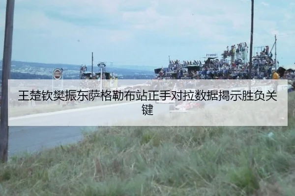 wang-chu-qin-fan-zhen-dong-sa-ge-lei-bu-zhan-zheng-shou-dui-la-shu-ju-jie-shi-sheng-fu-guan-jian-3-223.jpg