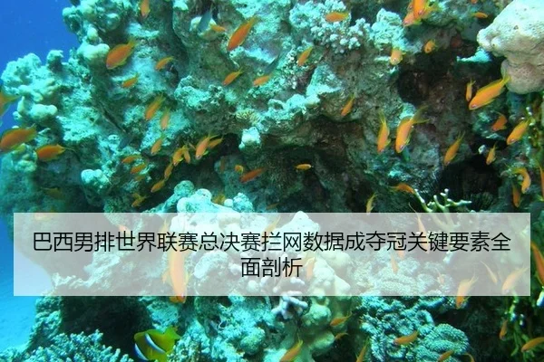 ba-xi-nan-pai-shi-jie-lian-sai-zong-jue-sai-lan-wang-shu-ju-cheng-duo-guan-guan-jian-yao-su-quan-mian-pou-xi-3-148.jpg