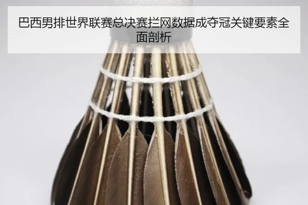 巴西男排世界联赛总决赛拦网数据成夺冠关键要素全面剖析