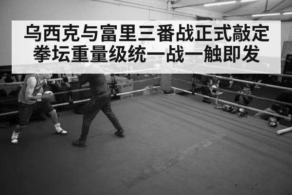 boxer training gym